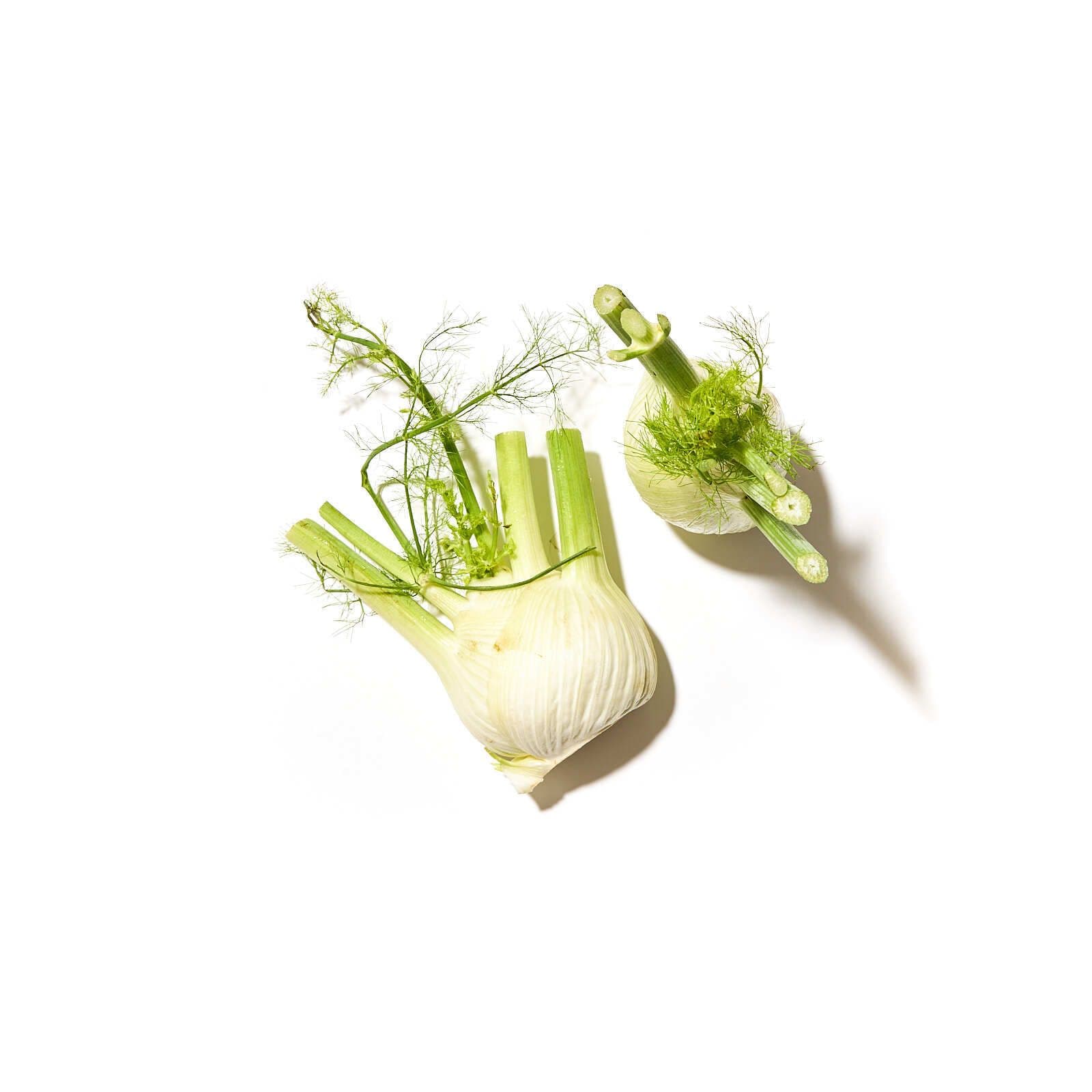 Fennel flórensfennika