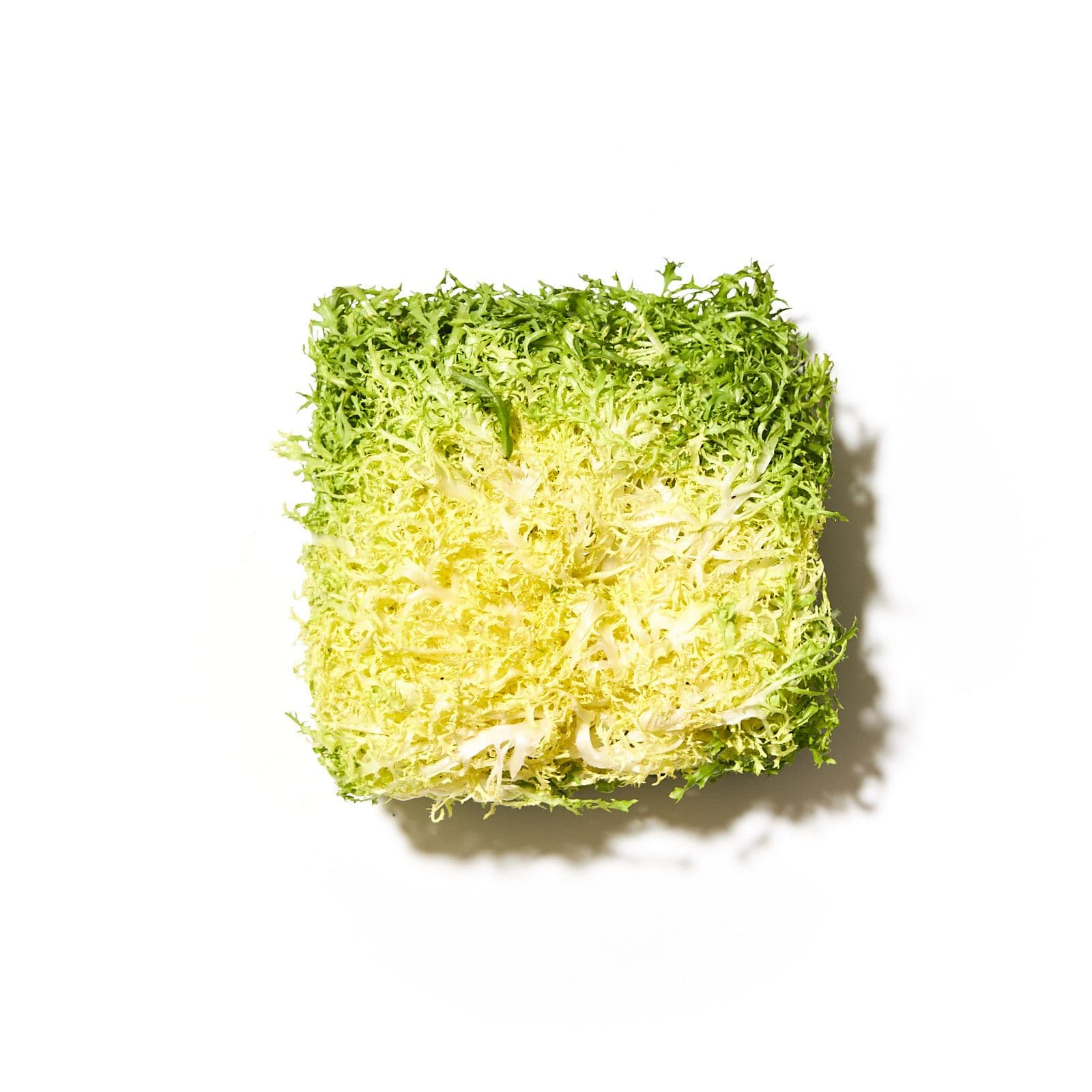 Frise