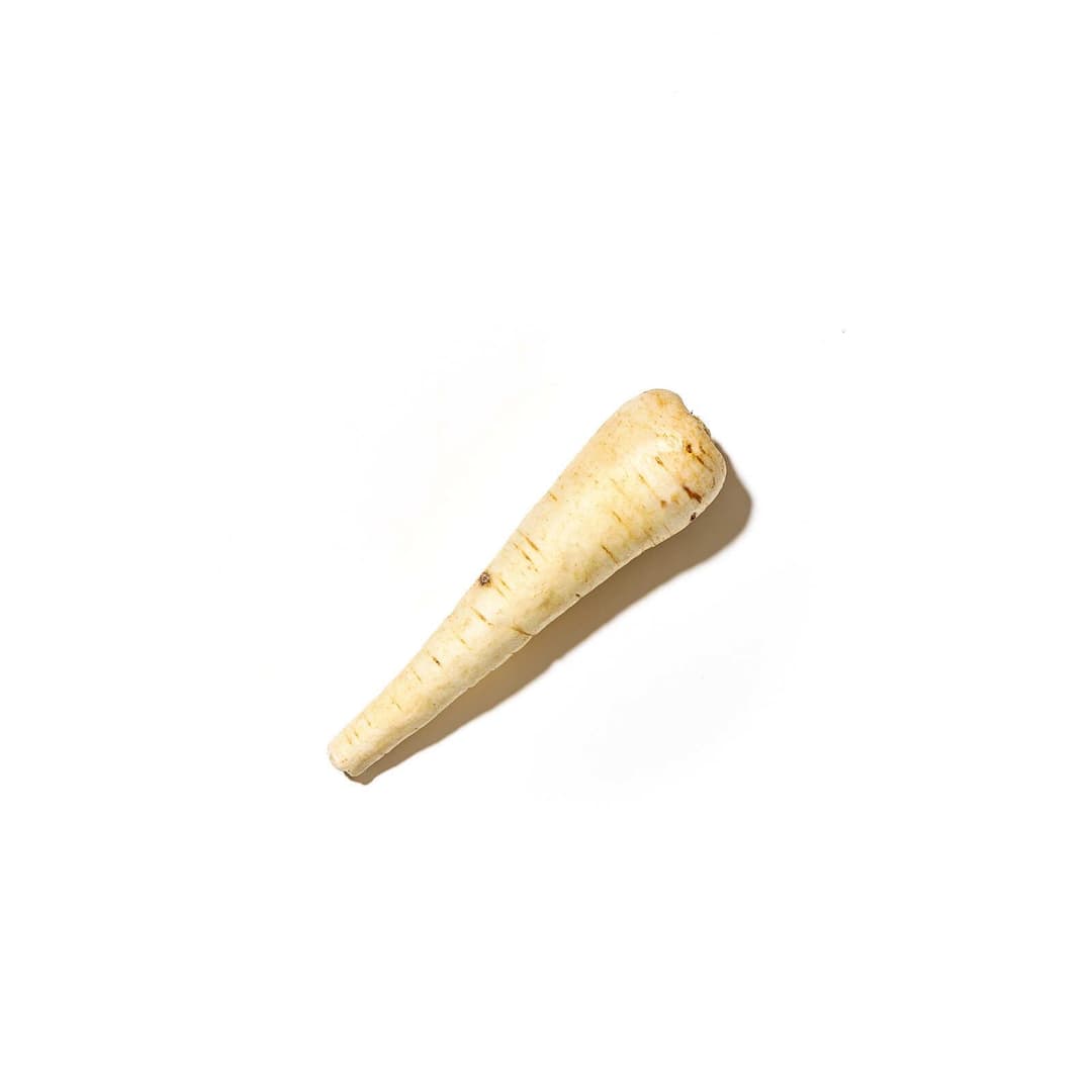 Nípa í lausu