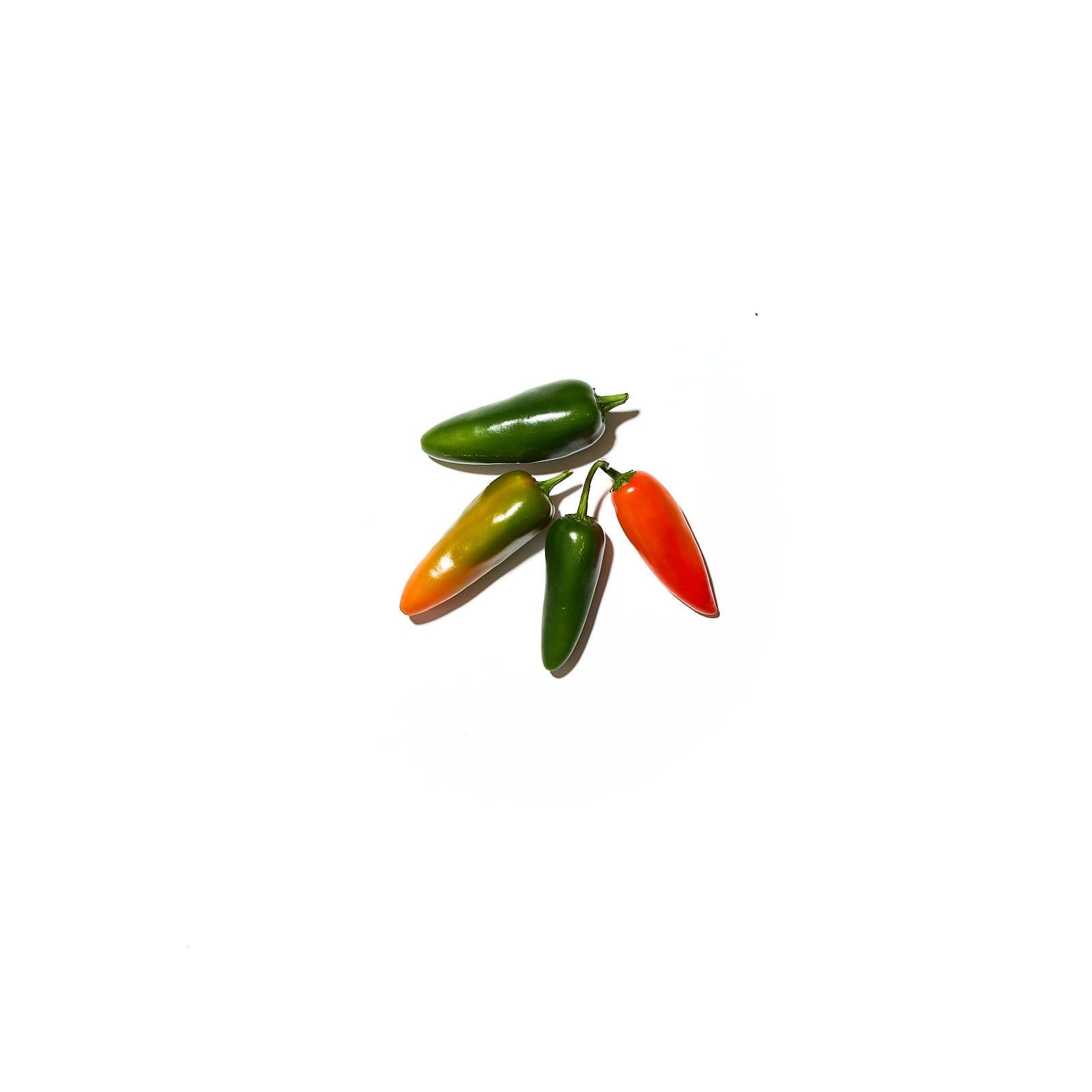 Eldpipar jalapeno mildur