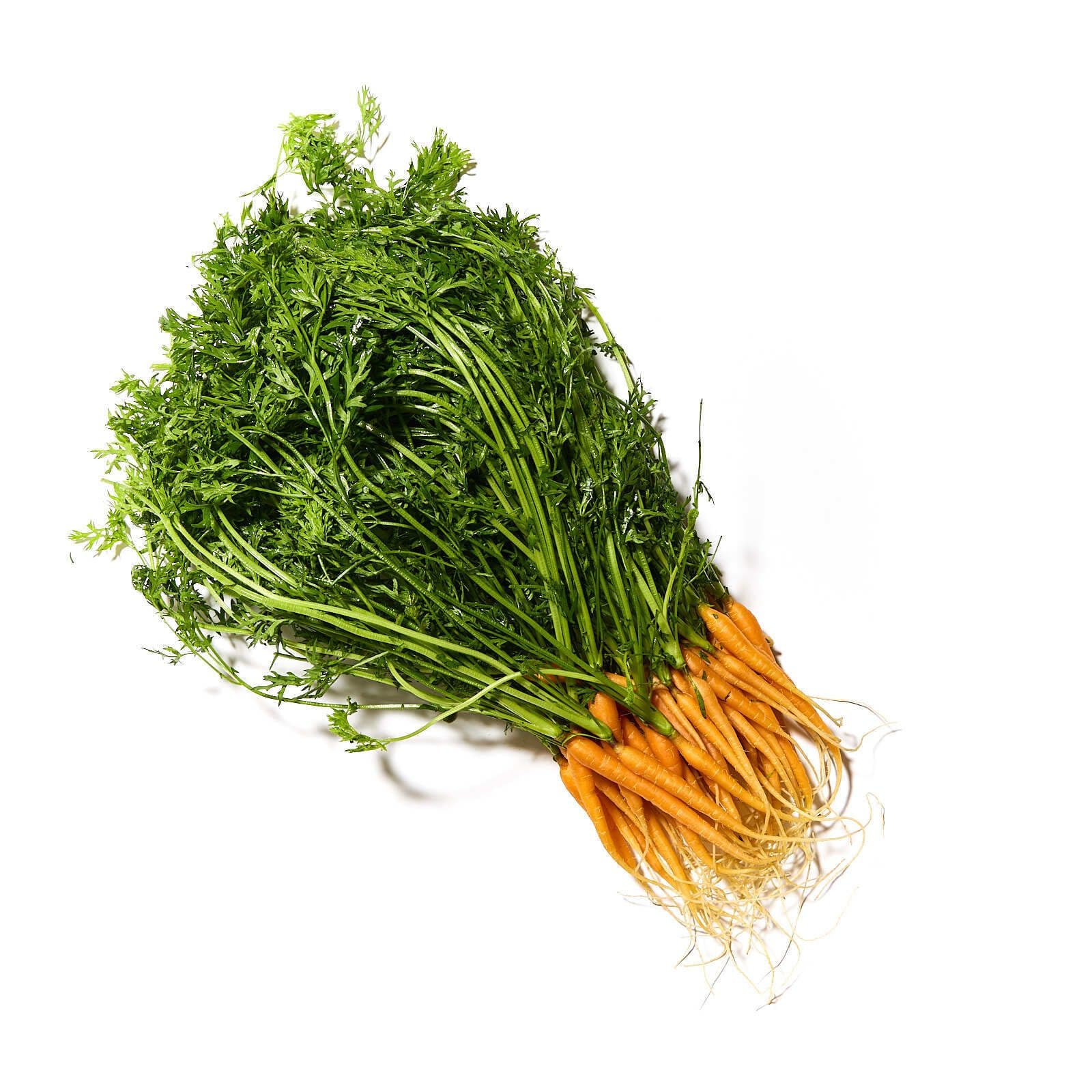 Gulrætur mini með grasi pakkaðar