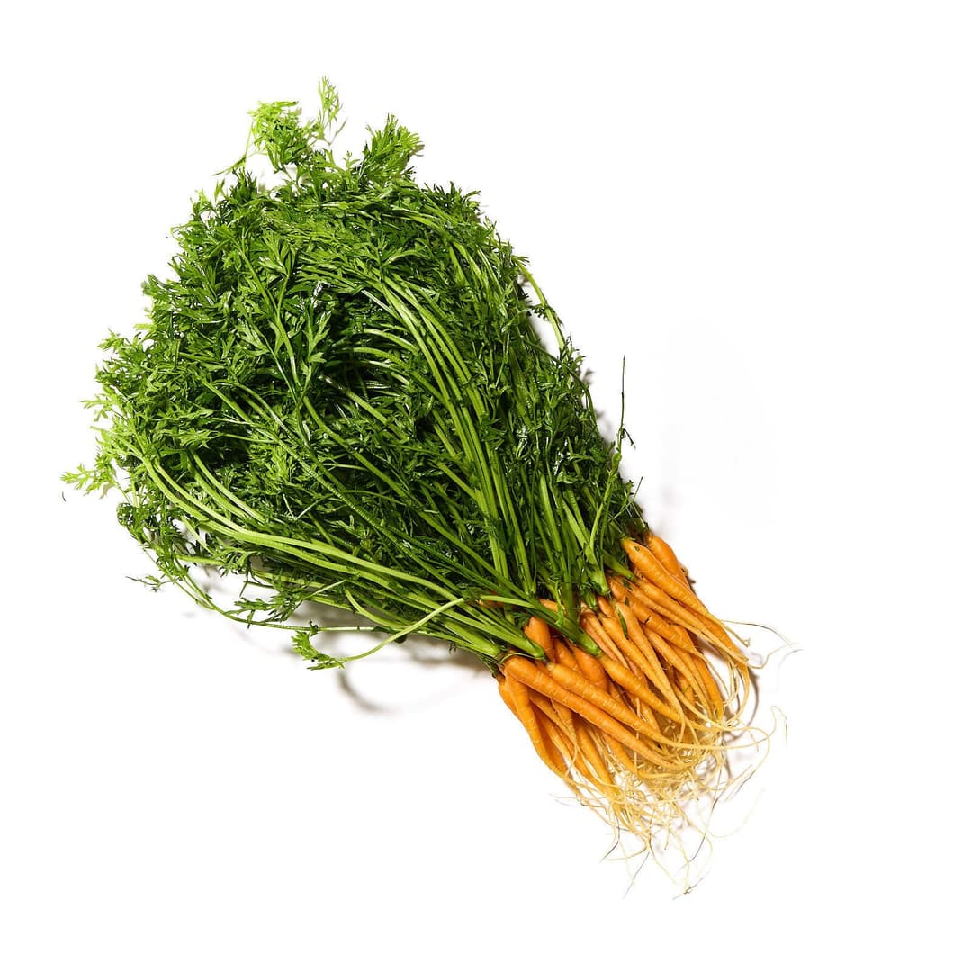 Gulrætur með grasi