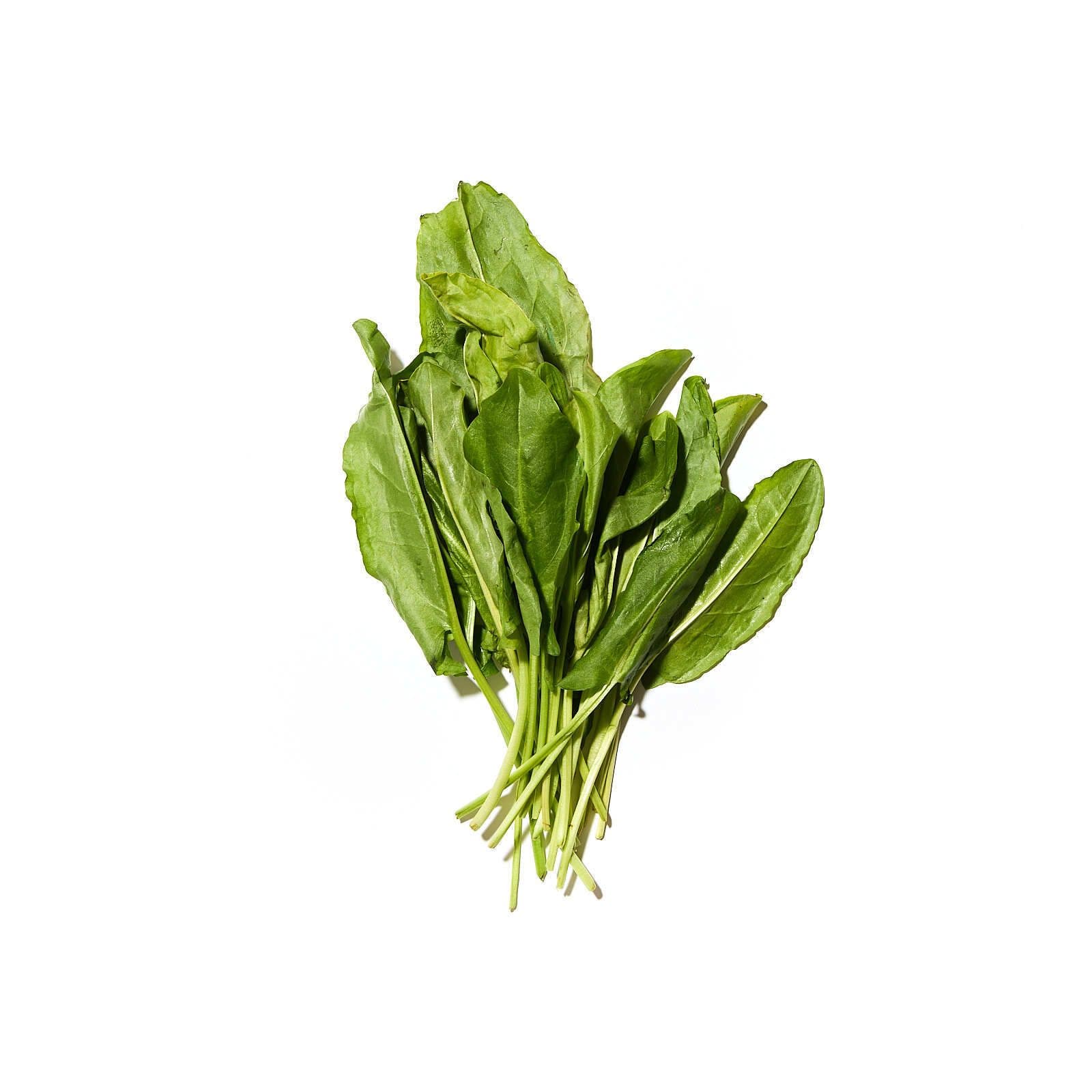 Súra