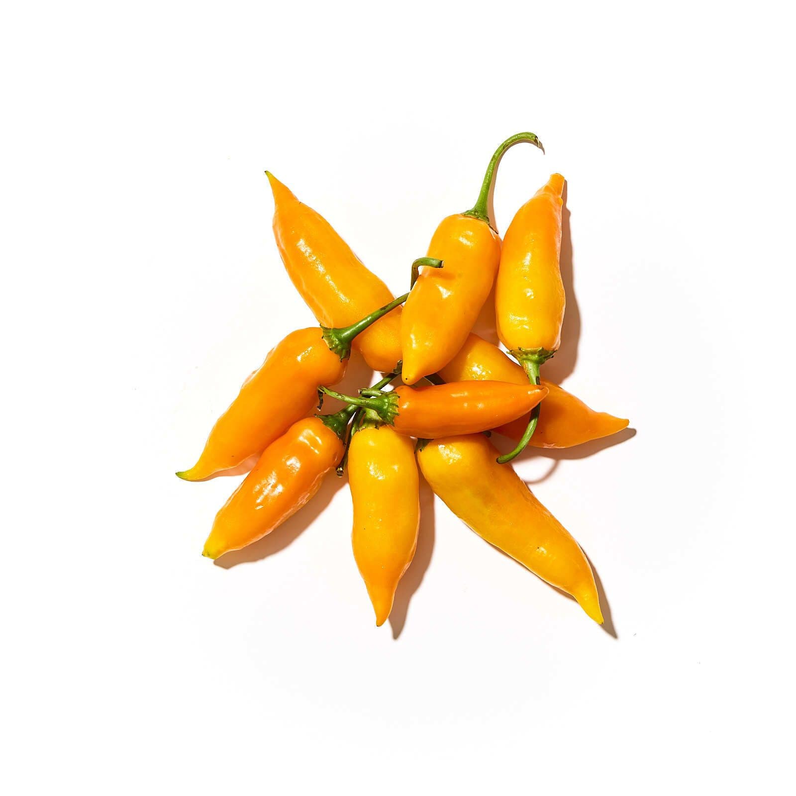Chili aji amarillo