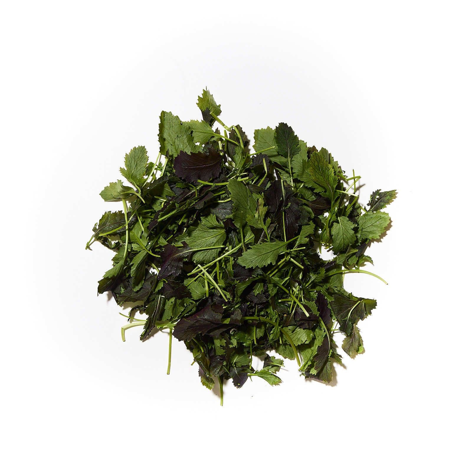 Mizuna rautt pakkað