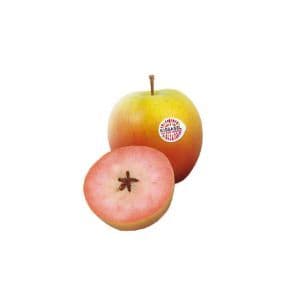 Epli kissabel appelsínugul pökkuð