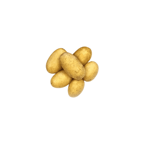 Kartöflur Þórustaðir Queen Anne