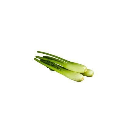 Fennel mini