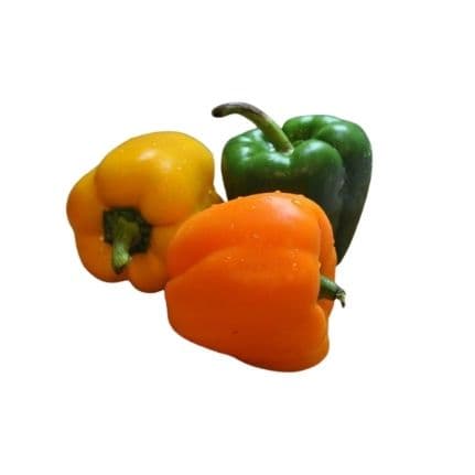 Paprika blandaðir litir pökkuð