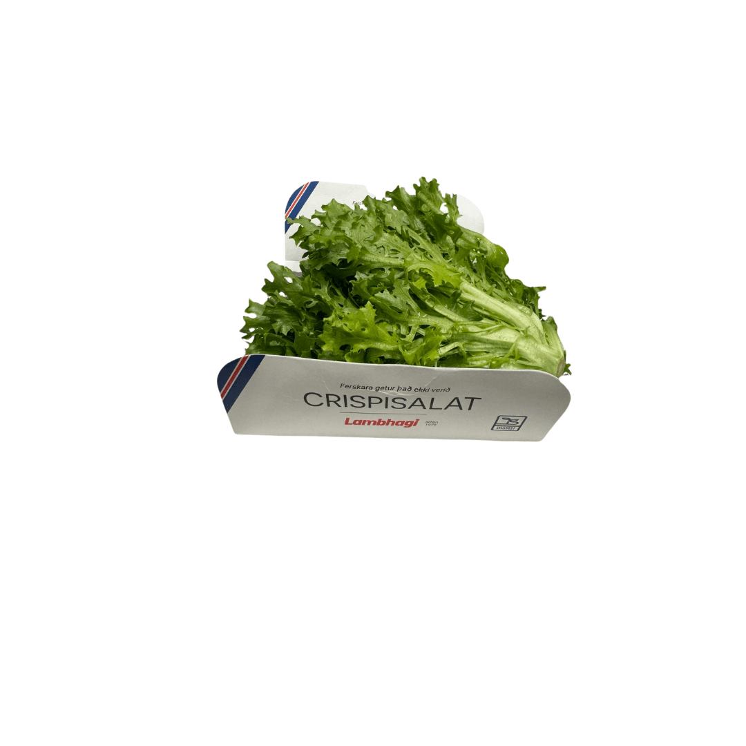 Crispisalat Lambhaga